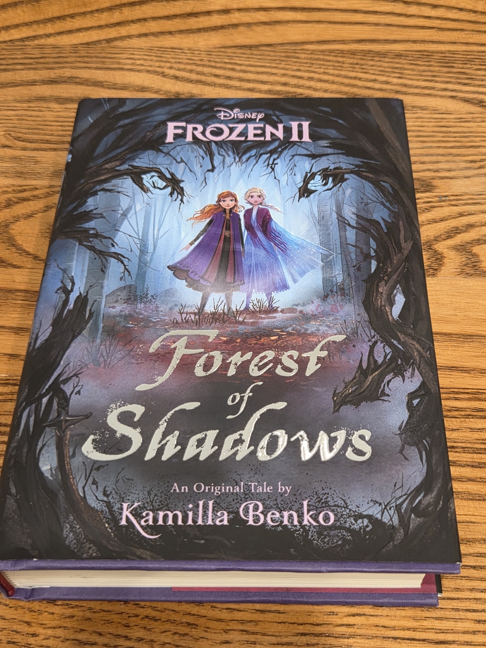Disney Frozen II: Forest of Shadows Hardcover Book